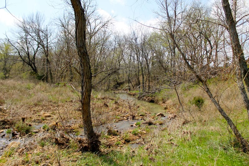 Daisy Meadows Tract 14 photo 3