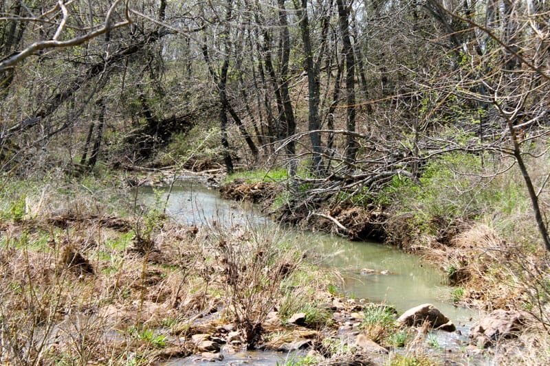 Daisy Meadows Tract 14 photo 2