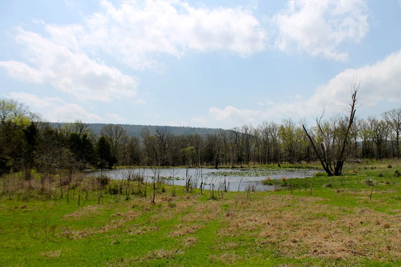 Daisy Meadows Tract 14 photo 4