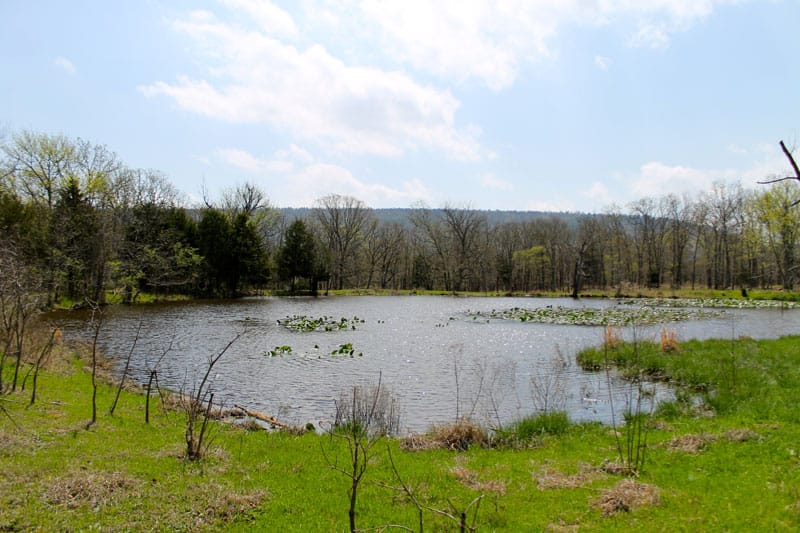 Daisy Meadows Tract 14 photo 5