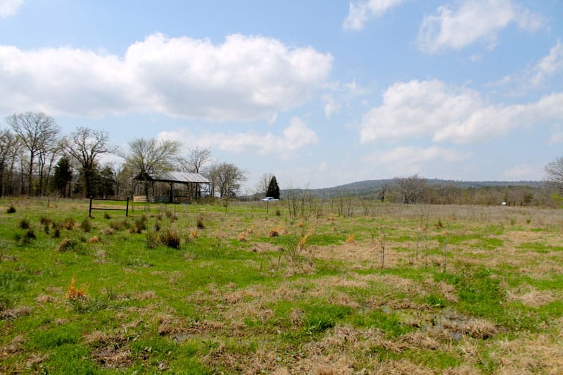Daisy Meadows Tract 14 photo 6