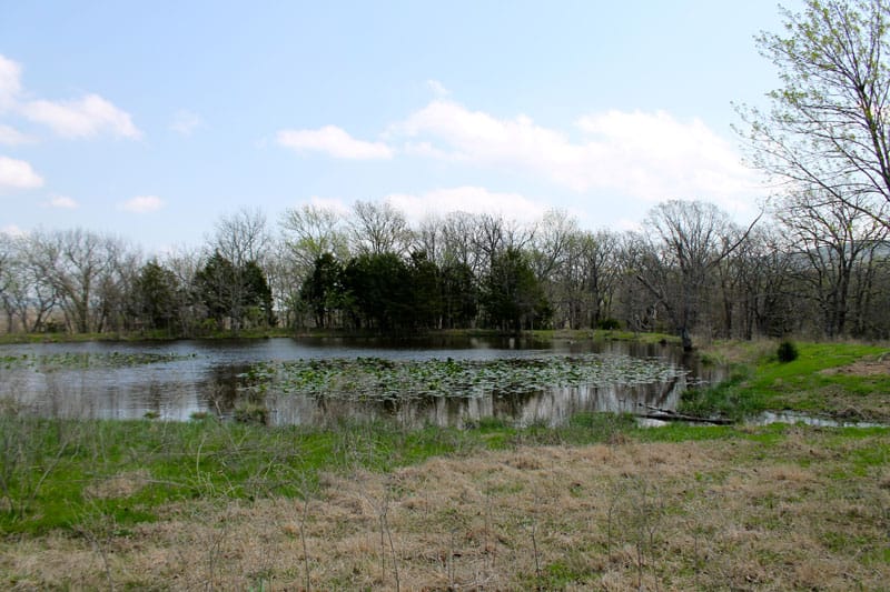 Daisy Meadows Tract 14 photo 9