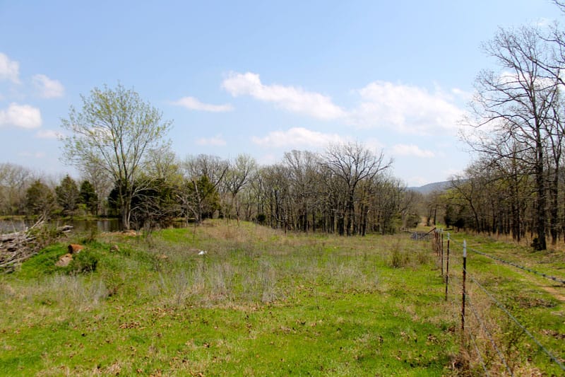 Daisy Meadows Tract 14 photo 11