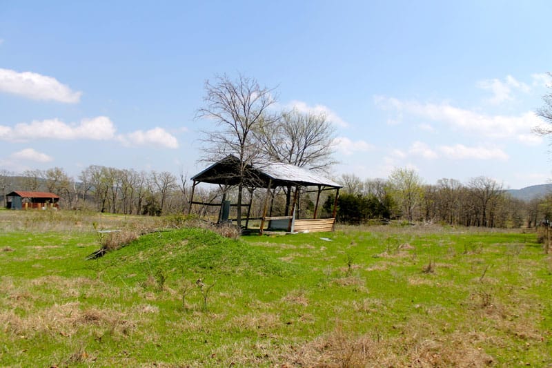 Daisy Meadows Tract 14 photo 12
