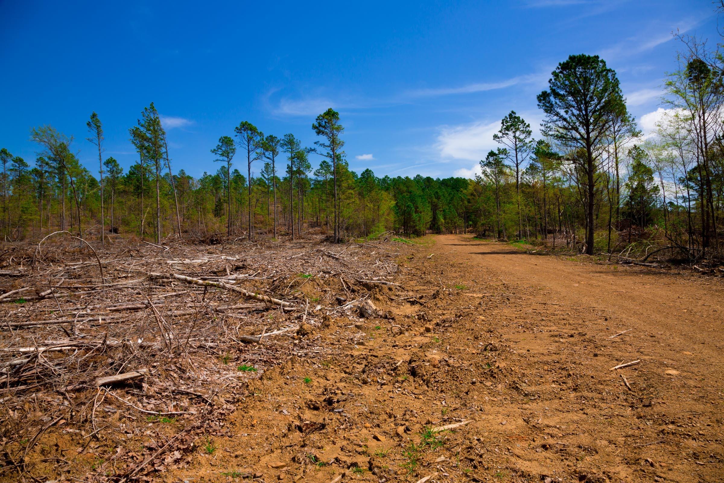 Stone Creek Phase II Tract 248 photo 2