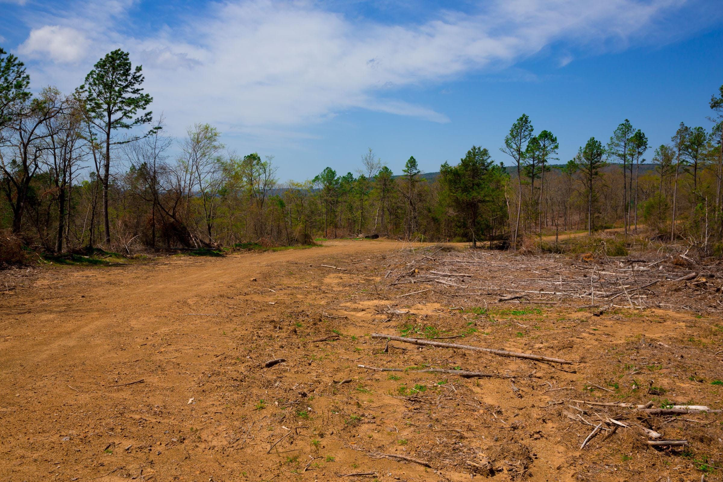 Stone Creek Phase II Tract 248 photo 5