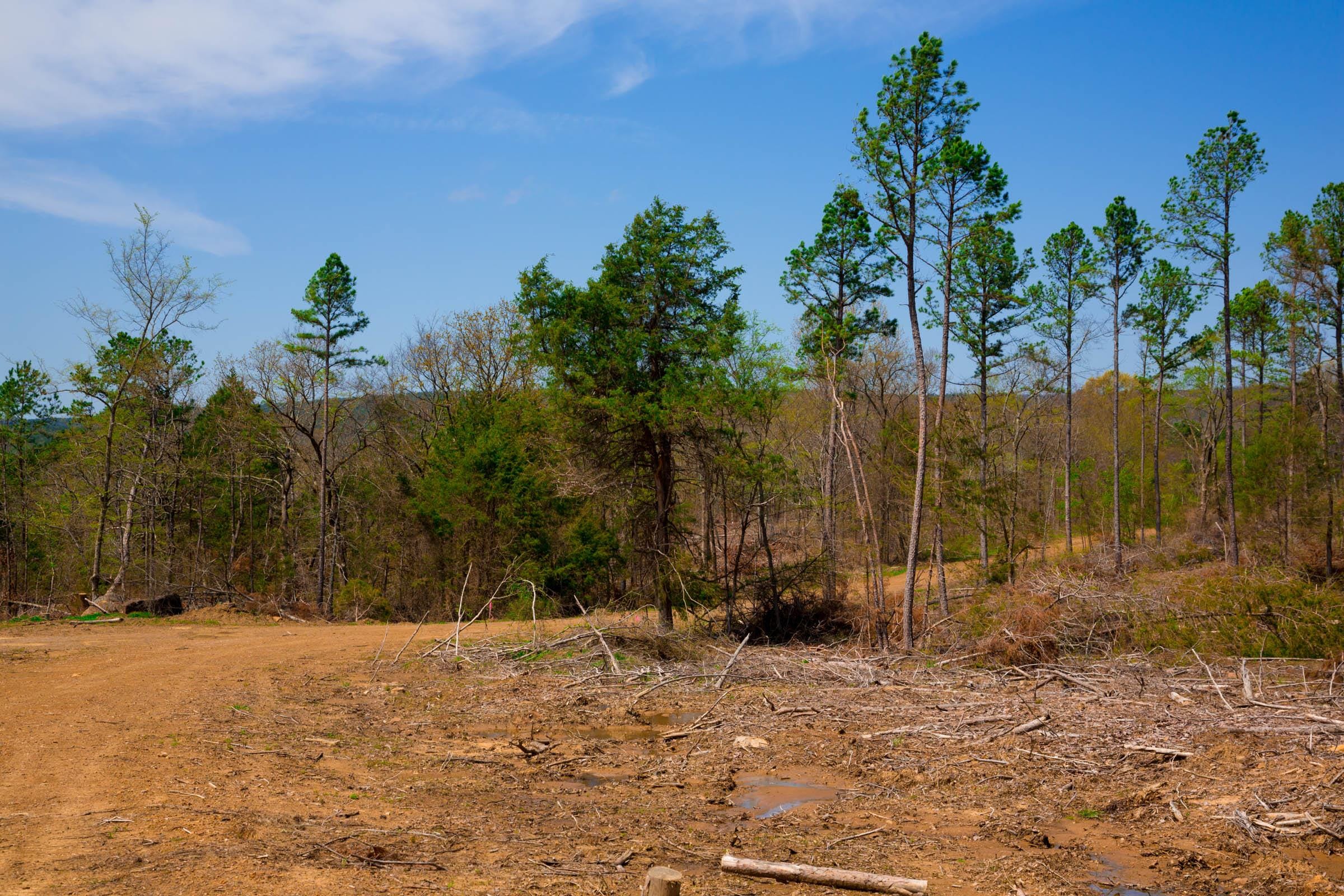 Stone Creek Phase II Tract 248 photo 6