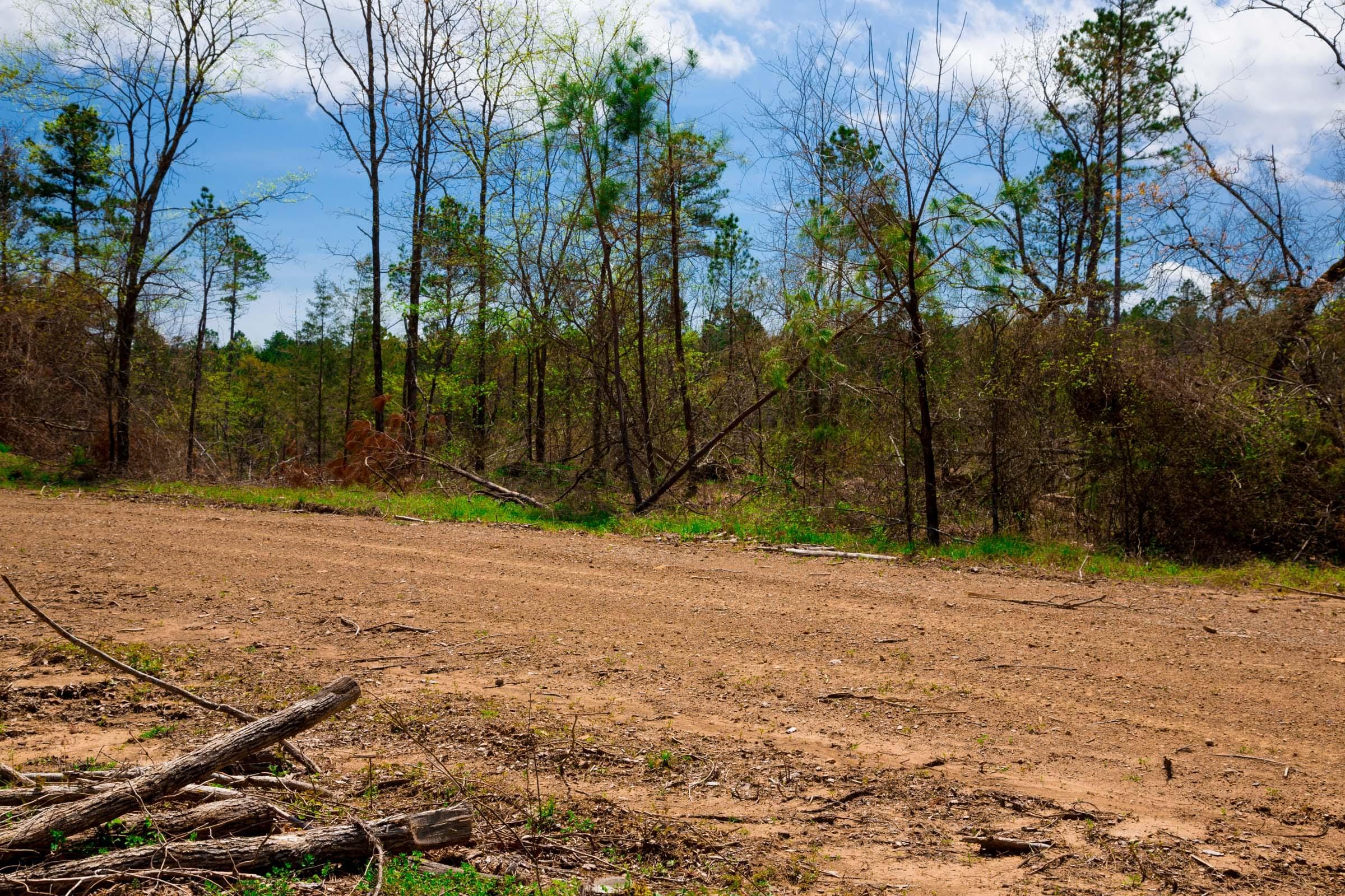 Stone Creek Phase II Tract 248 photo 11