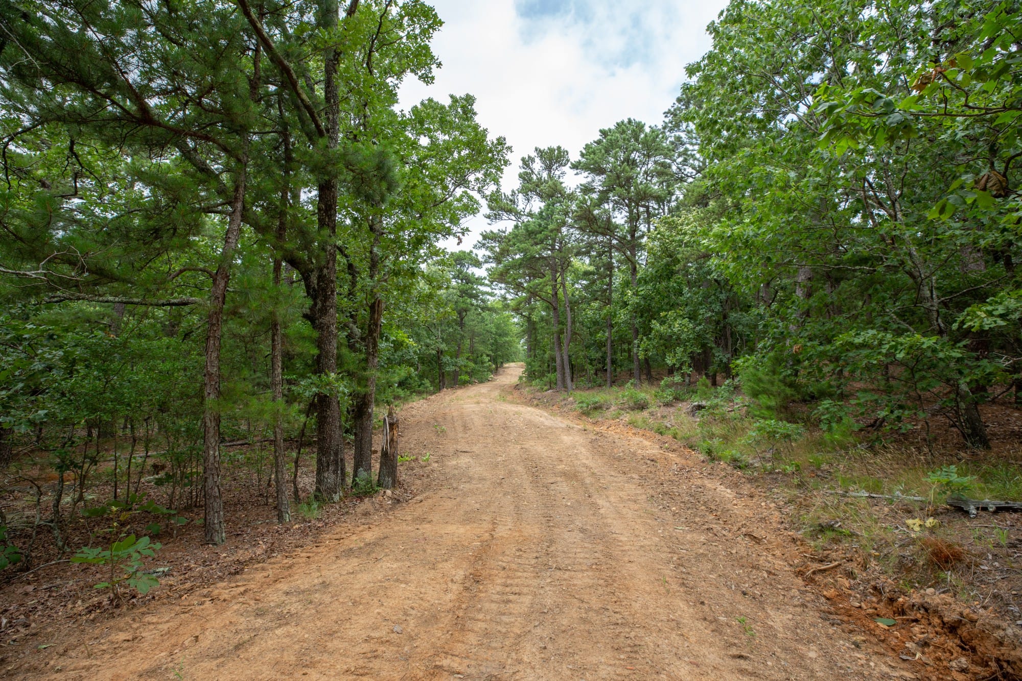 Eagle’s Nest Tract 82 photo 2