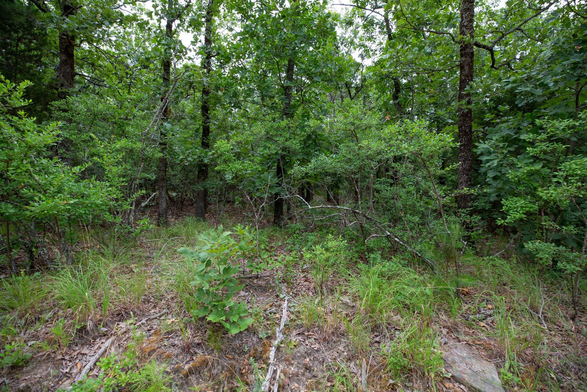 Eagle’s Nest Tract 82 photo 3