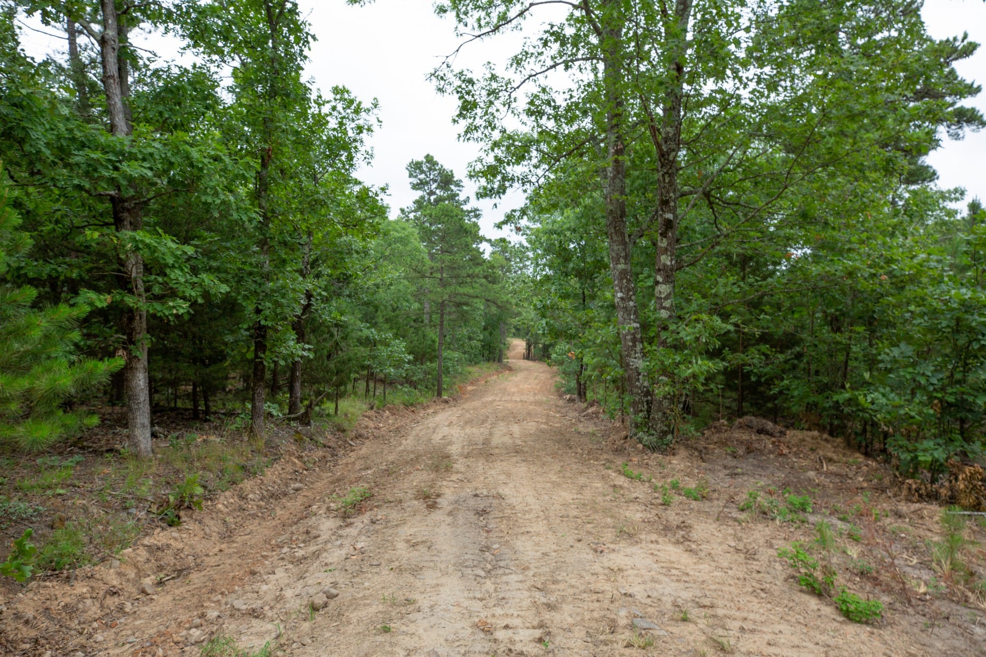 Eagle’s Nest Tract 82 photo 6