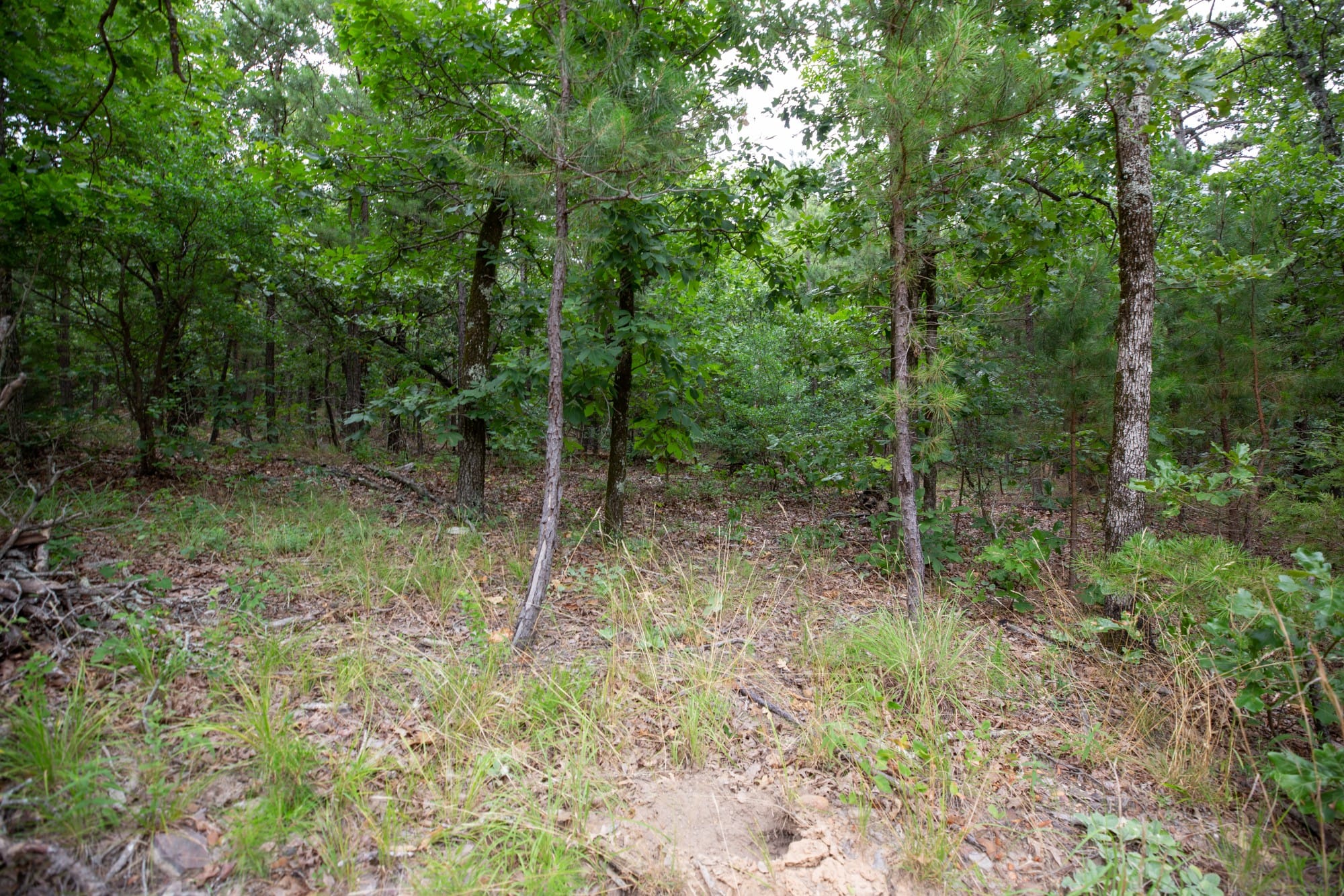 Eagle’s Nest Tract 82 photo 4