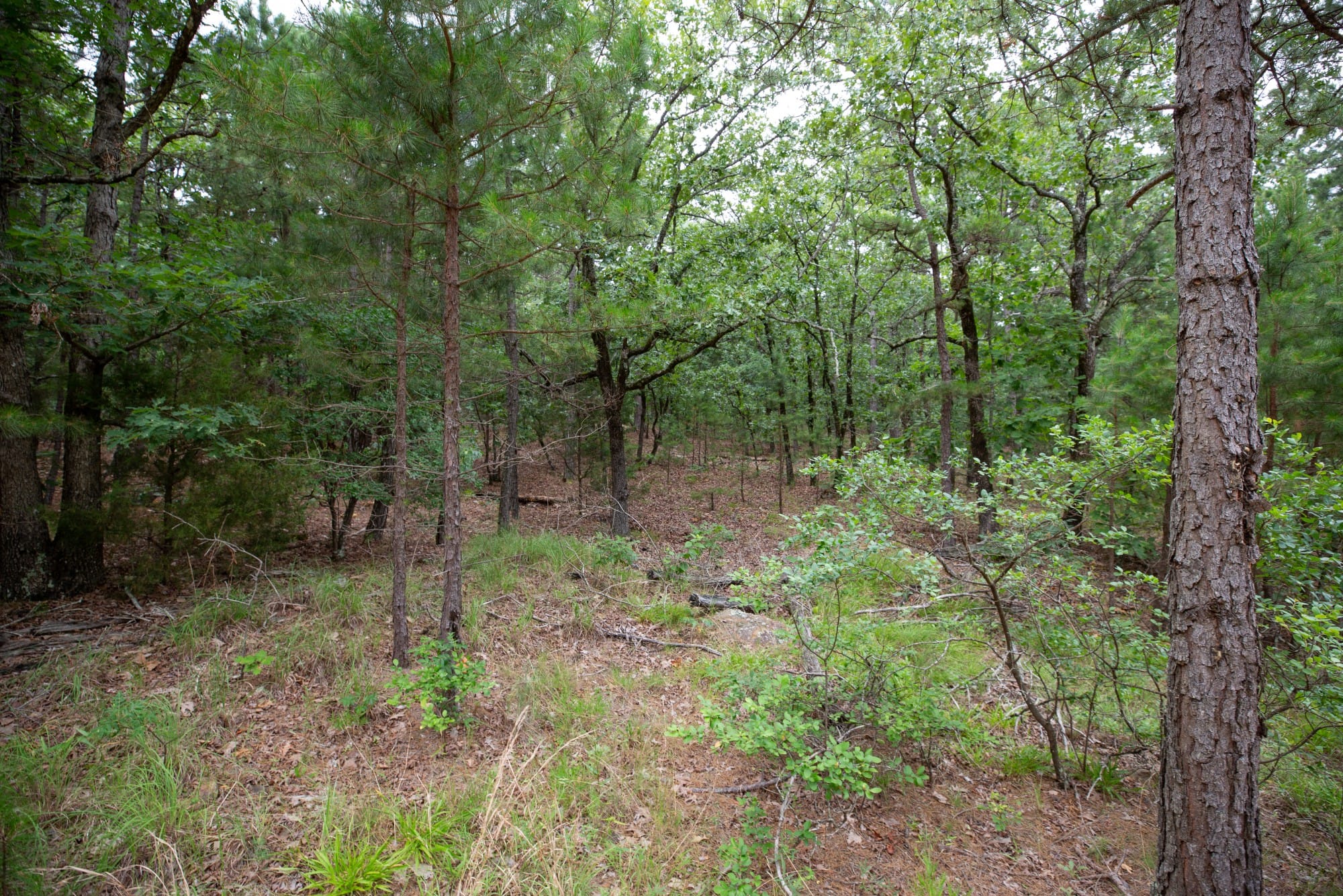 Eagle’s Nest Tract 82 photo 5