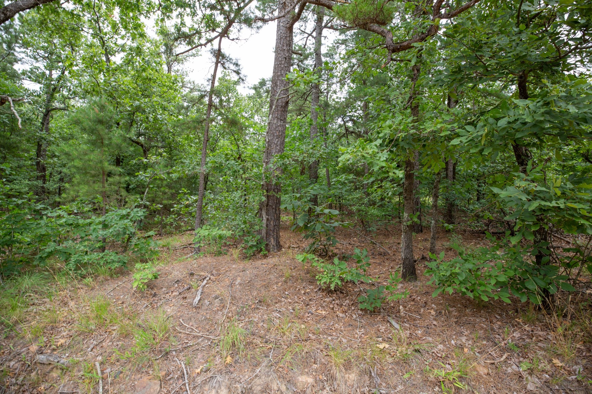 Eagle’s Nest Tract 82 photo 12