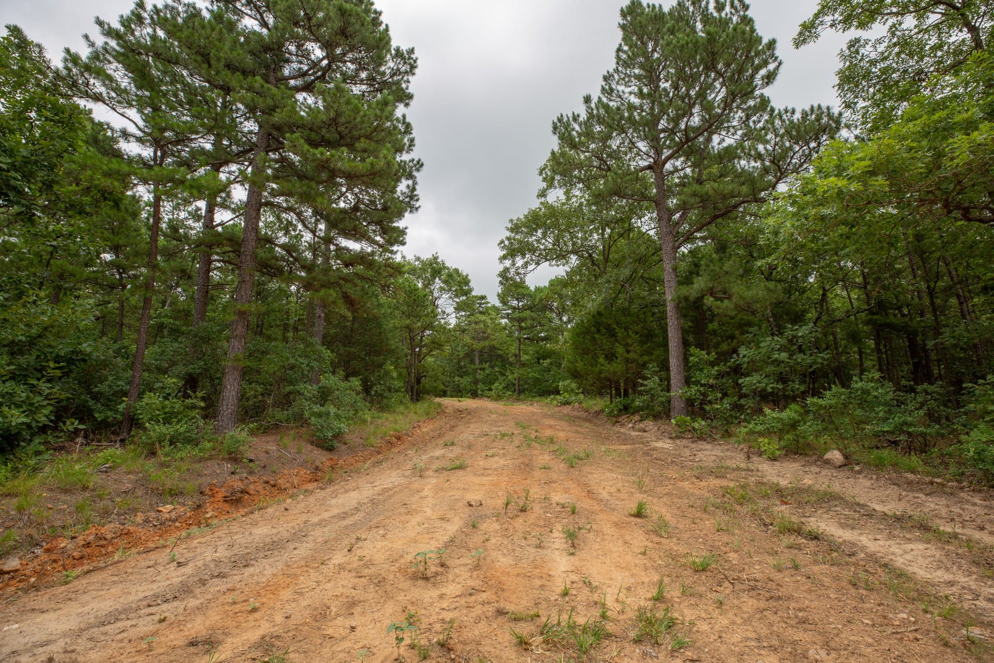 Eagle’s Nest Tract 82 photo 11