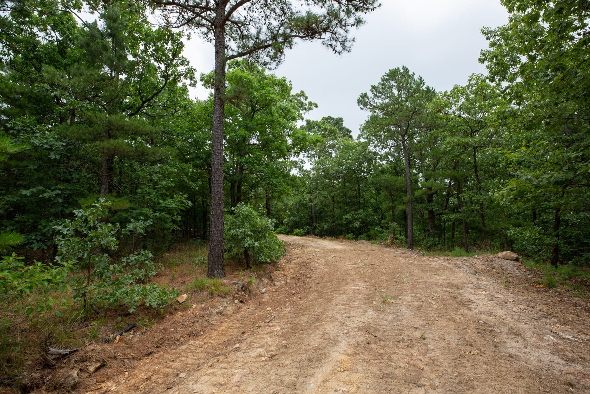 Eagle’s Nest Tract 82 photo 21