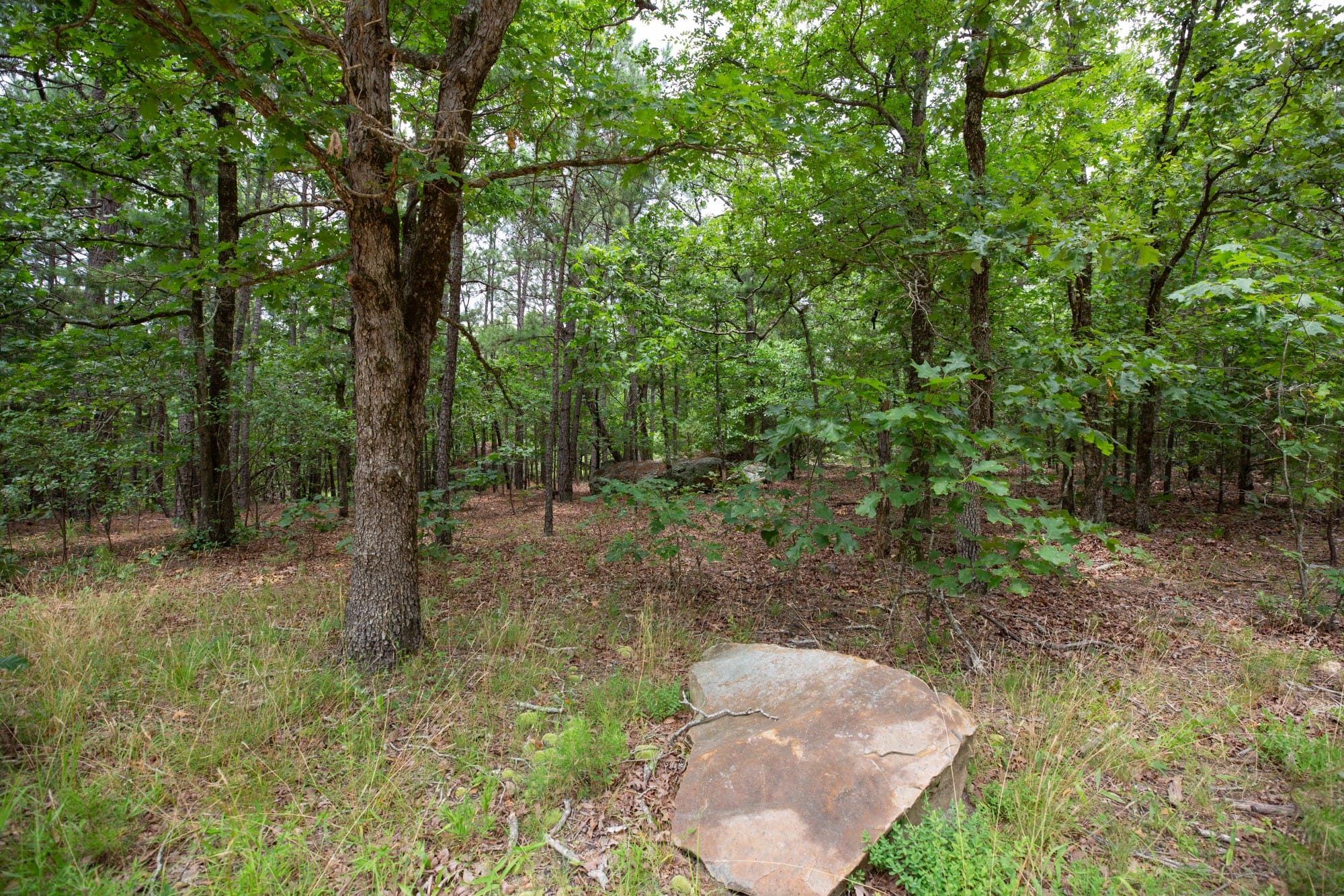Eagle’s Nest Tract 82 photo 14