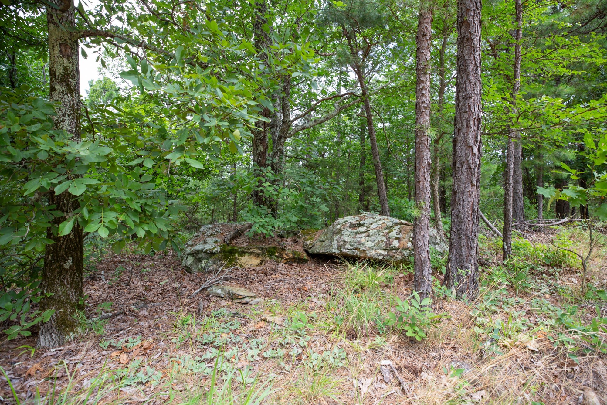 Eagle’s Nest Tract 82 photo 17