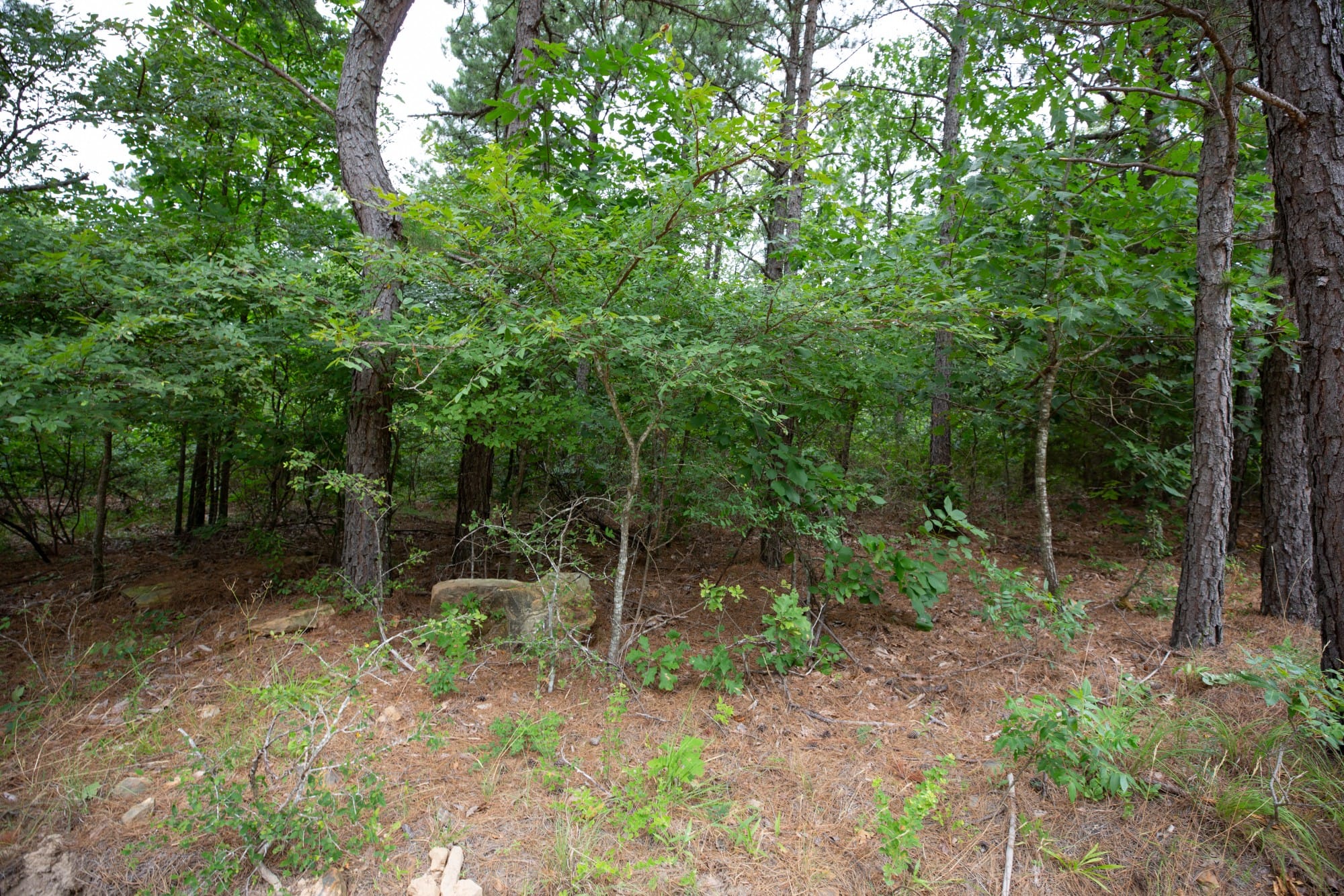 Eagle’s Nest Tract 82 photo 19