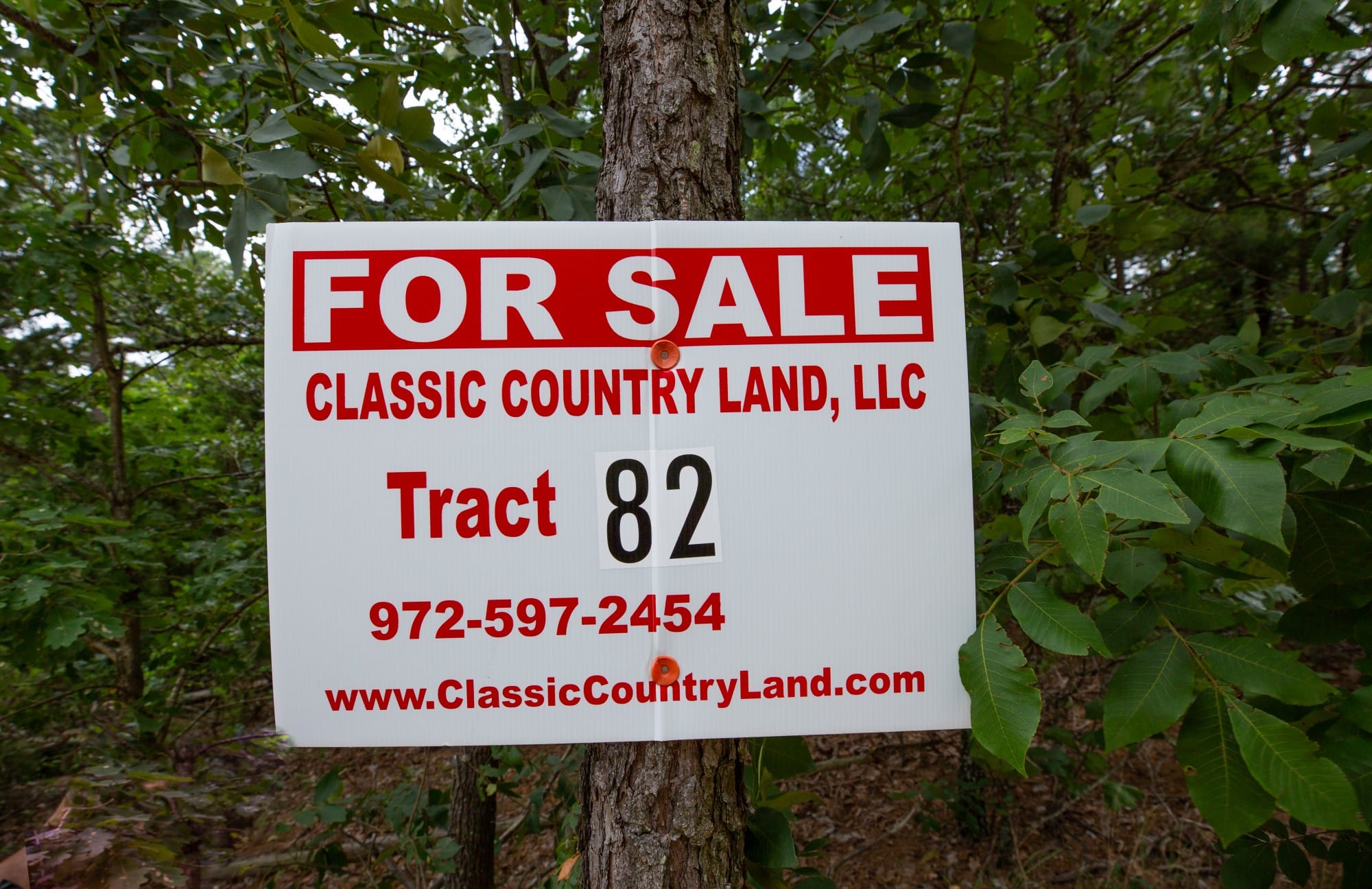 Eagle’s Nest Tract 82 photo 1