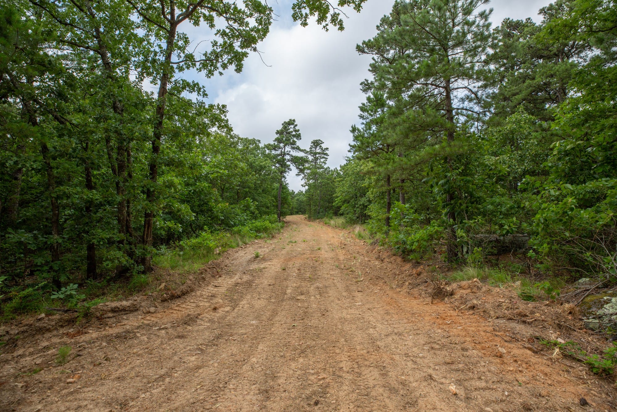 Eagle’s Nest Tract 82 photo 16
