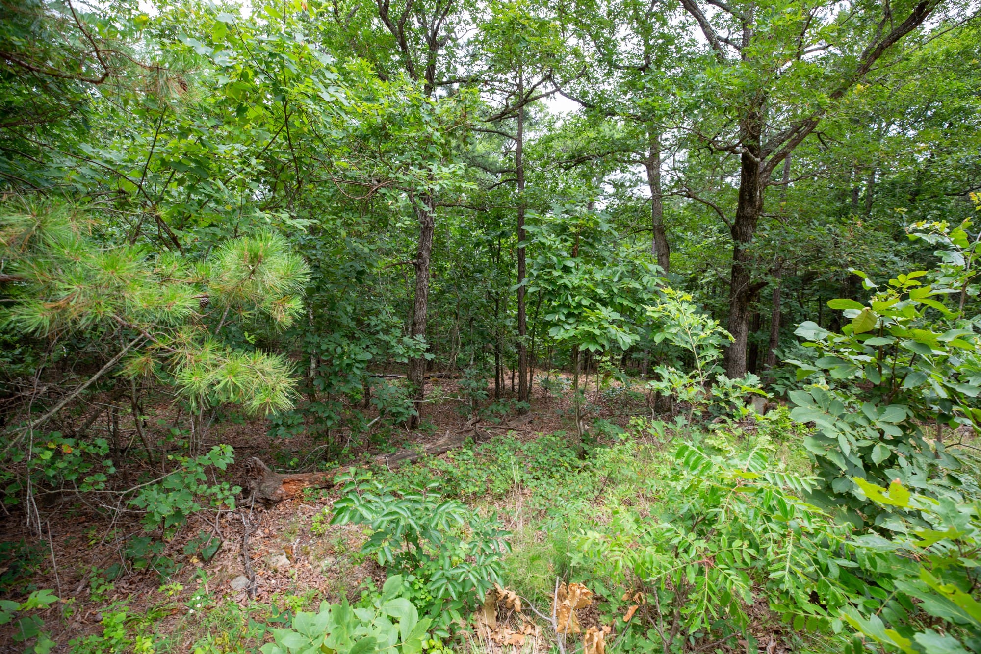 Eagle’s Nest Tract 82 photo 20