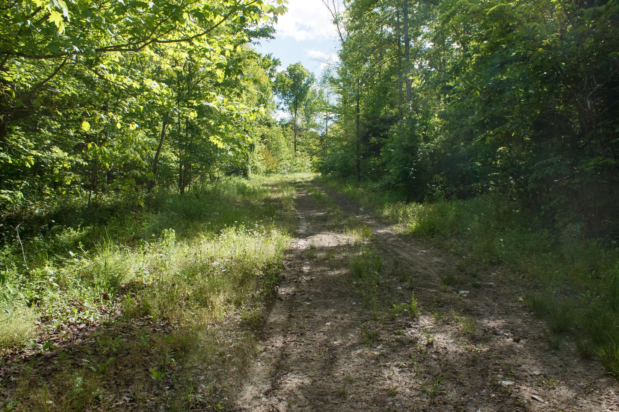 Riverbend Tract 6 photo 4