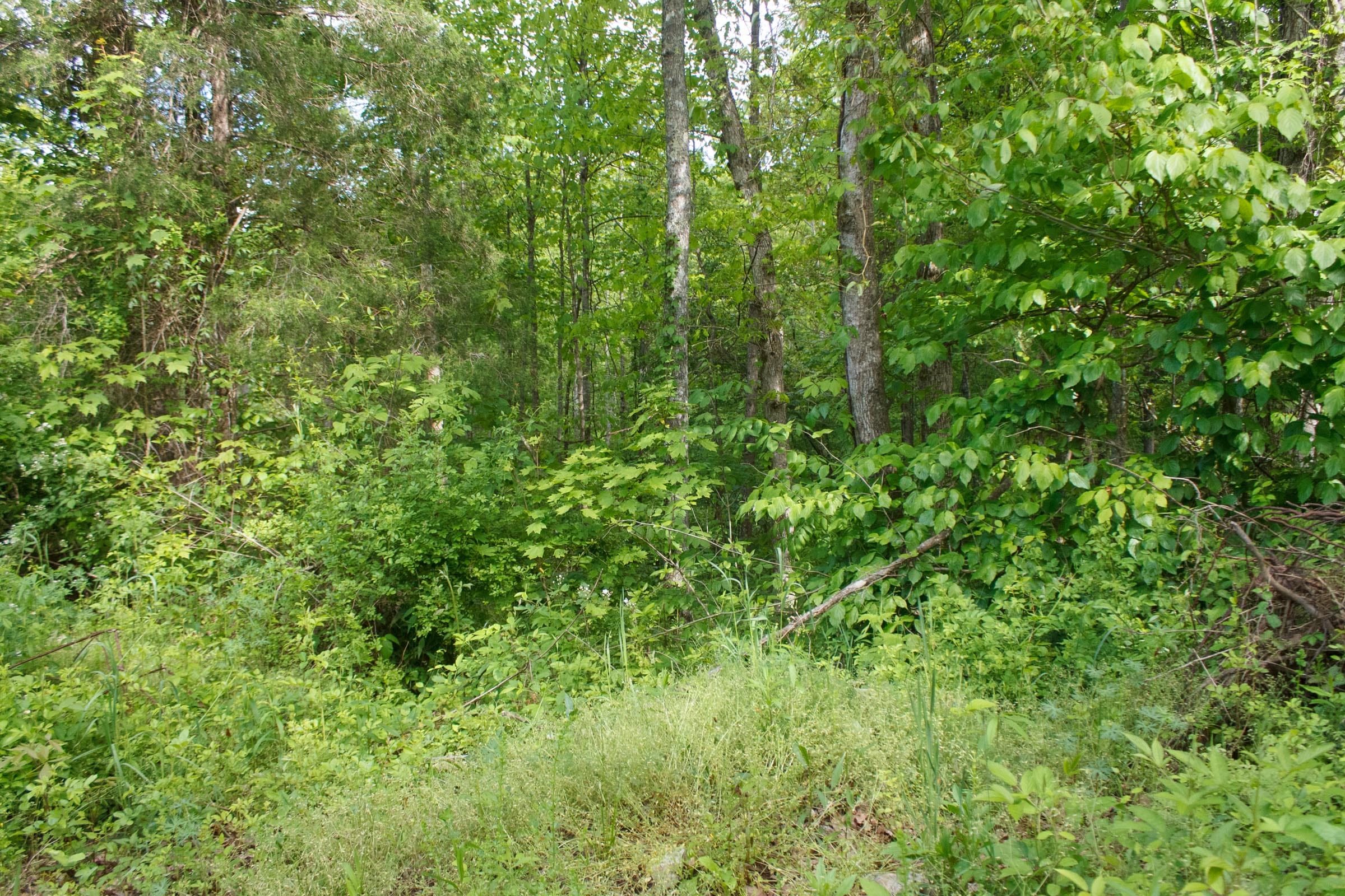 Riverbend Tract 6 photo 8