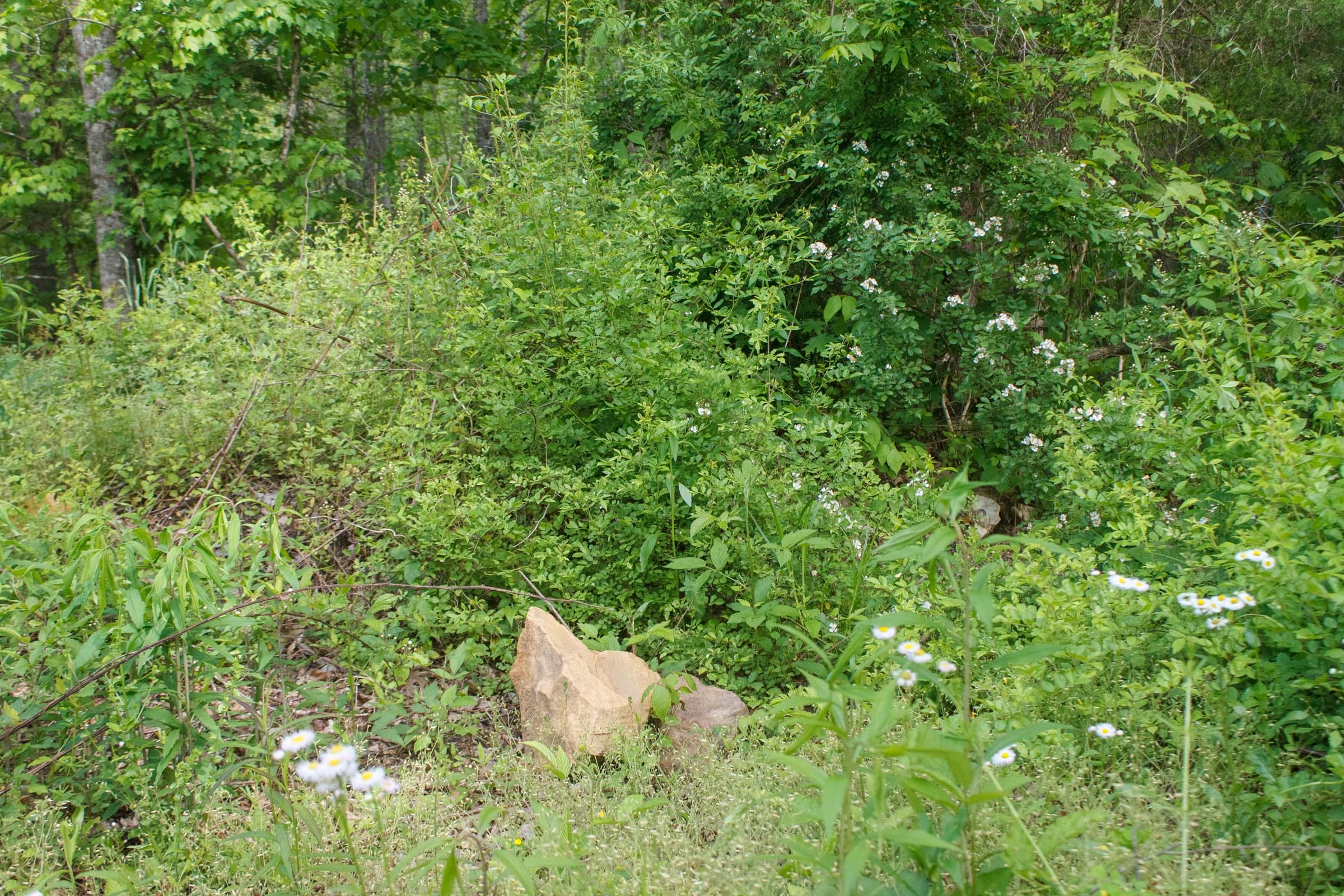 Riverbend Tract 6 photo 9