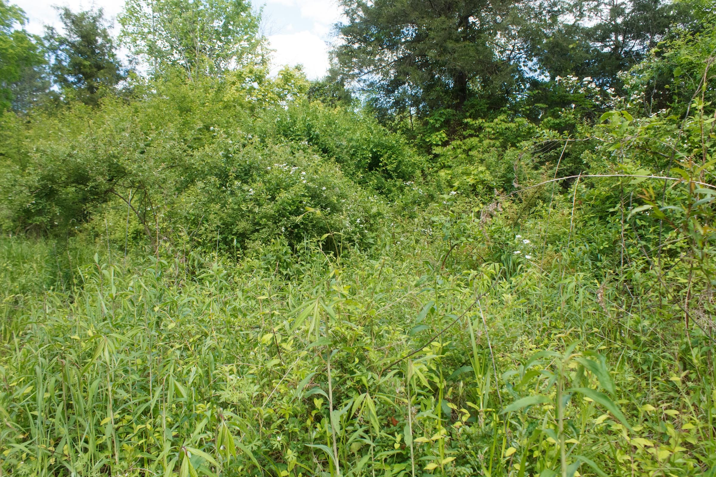 Riverbend Tract 6 photo 11