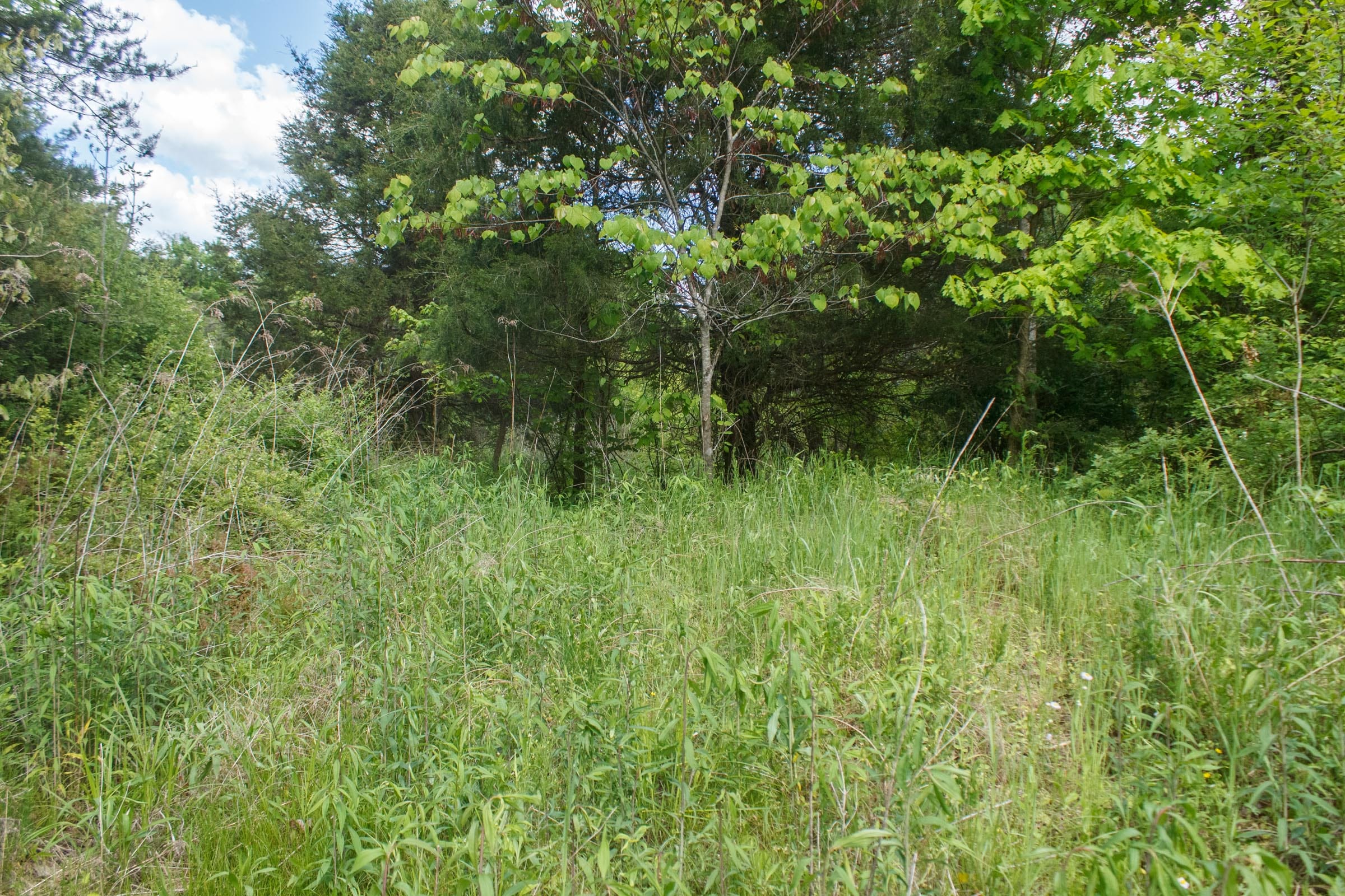 Riverbend Tract 6 photo 12