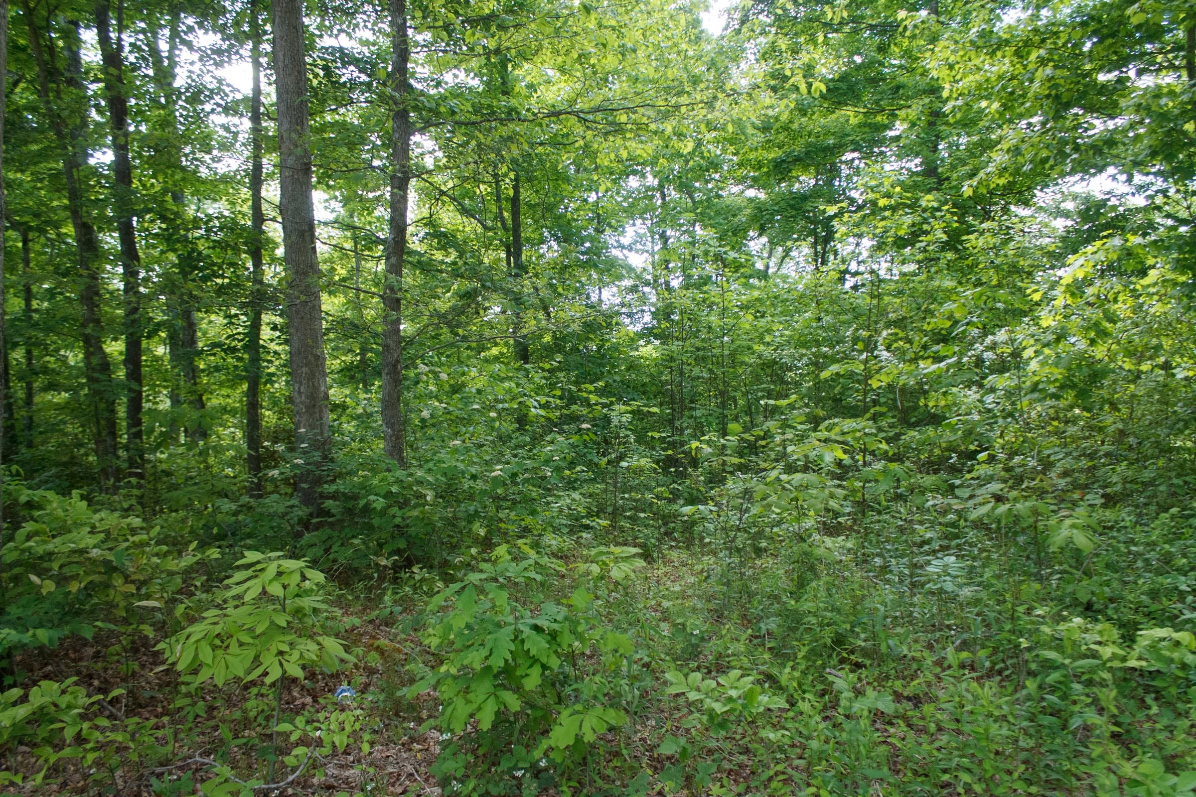 Riverbend Tract 6 photo 14
