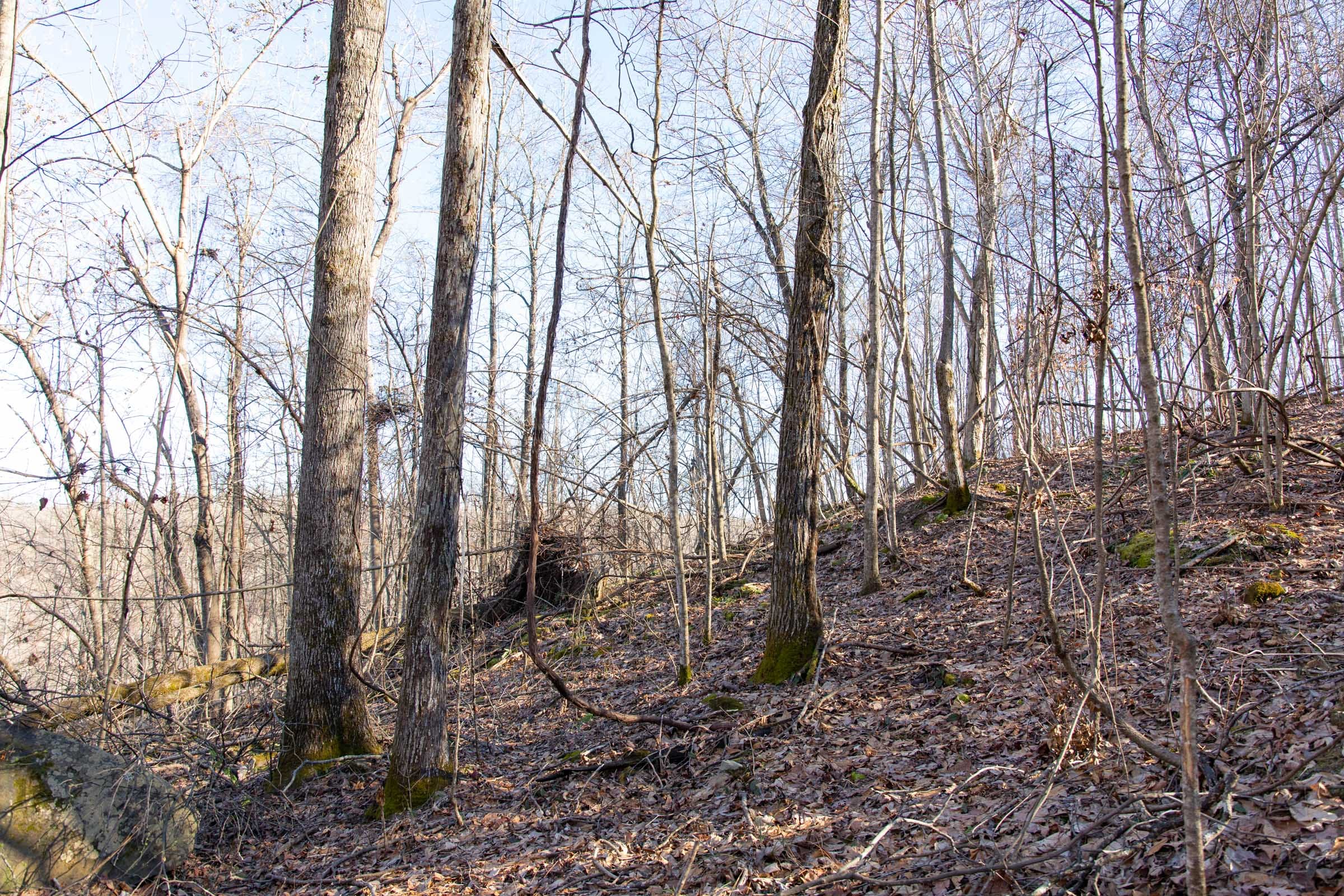 Blackstone Mountain Phase I Tract 46 photo 7