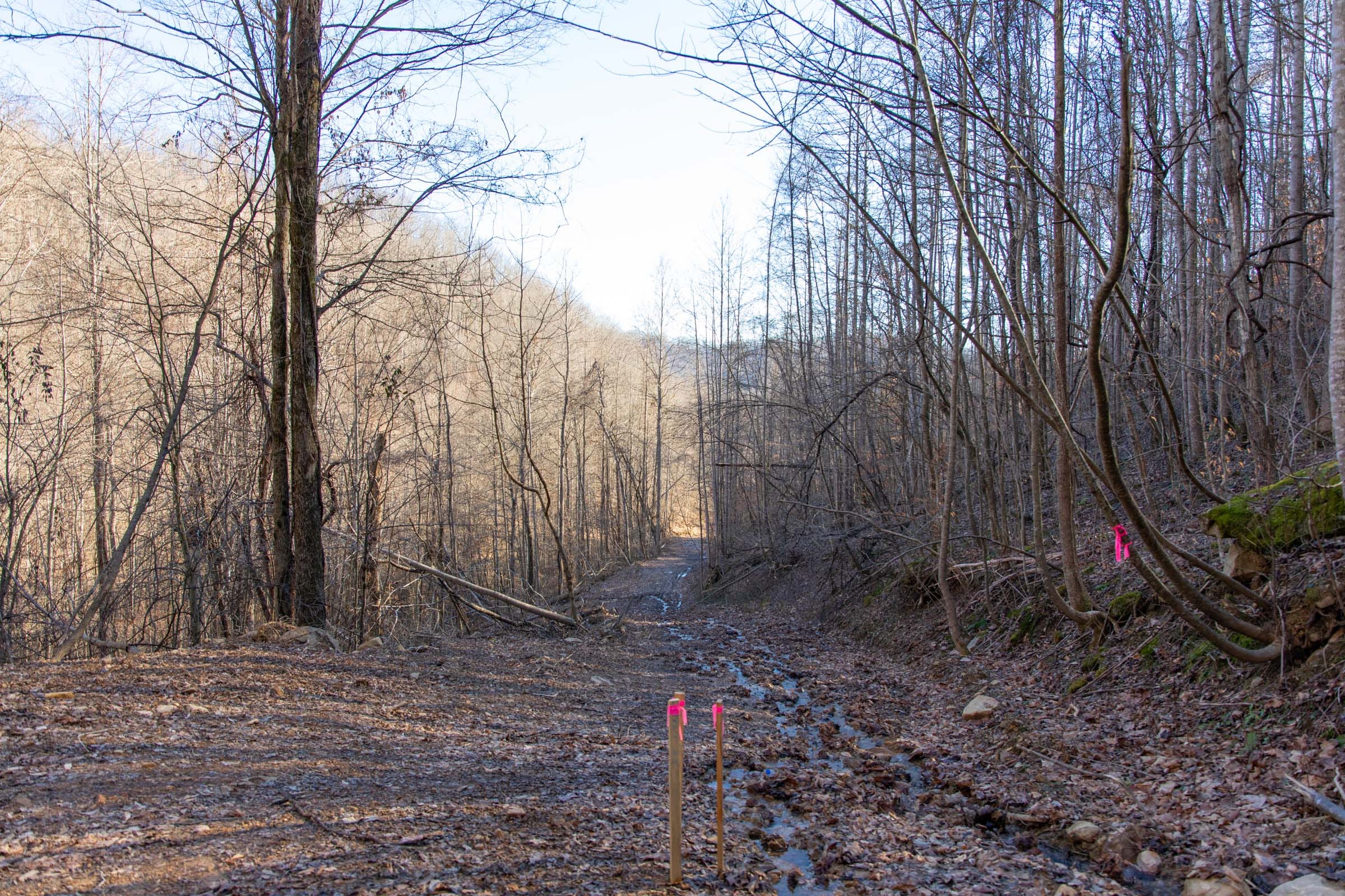 Blackstone Mountain Phase I Tract 46 photo 10
