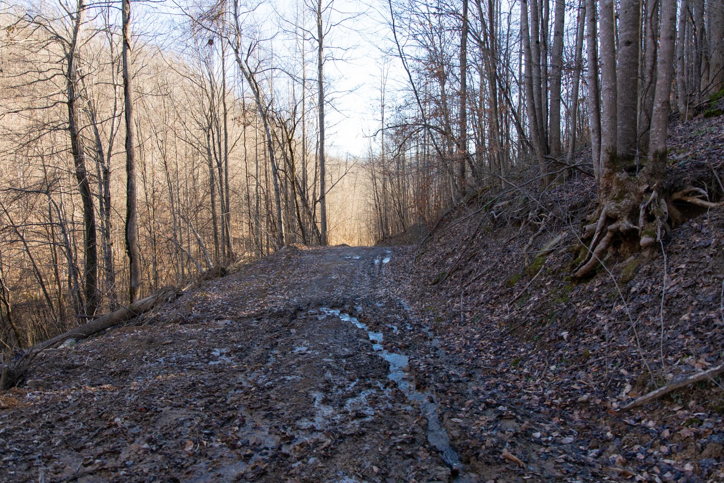 Blackstone Mountain Phase I Tract 46 photo 11
