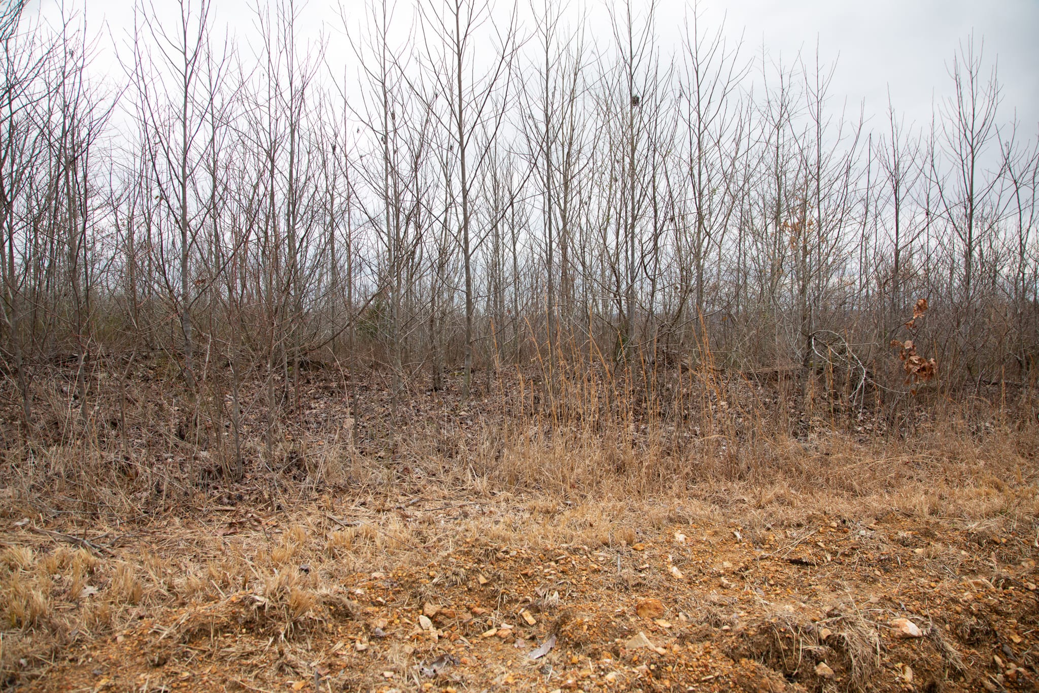 Southwind Ranch Tract 17 photo 2