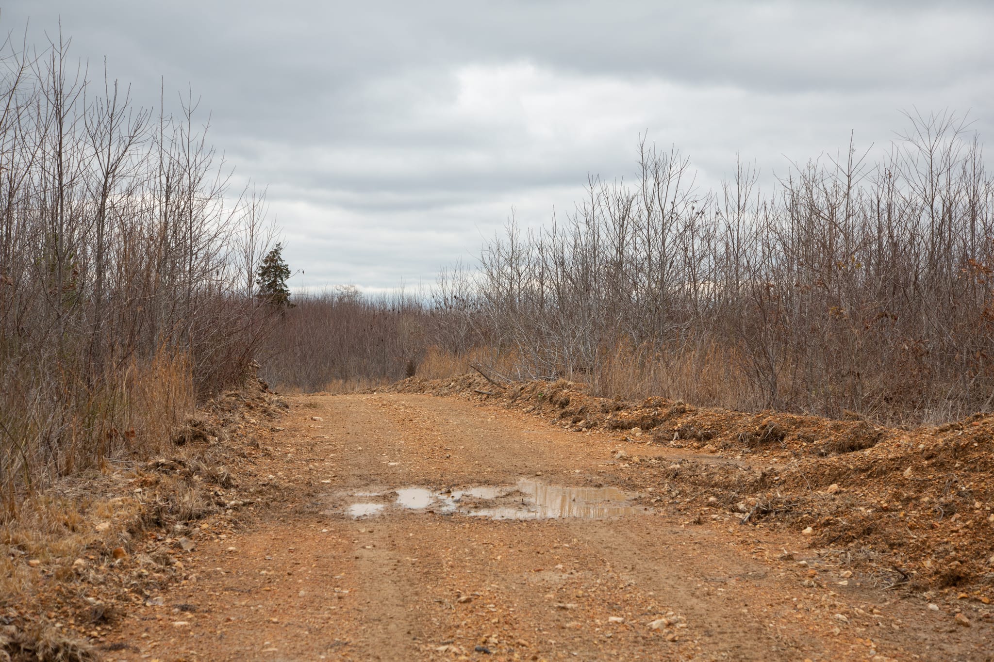Southwind Ranch Tract 17 photo 1