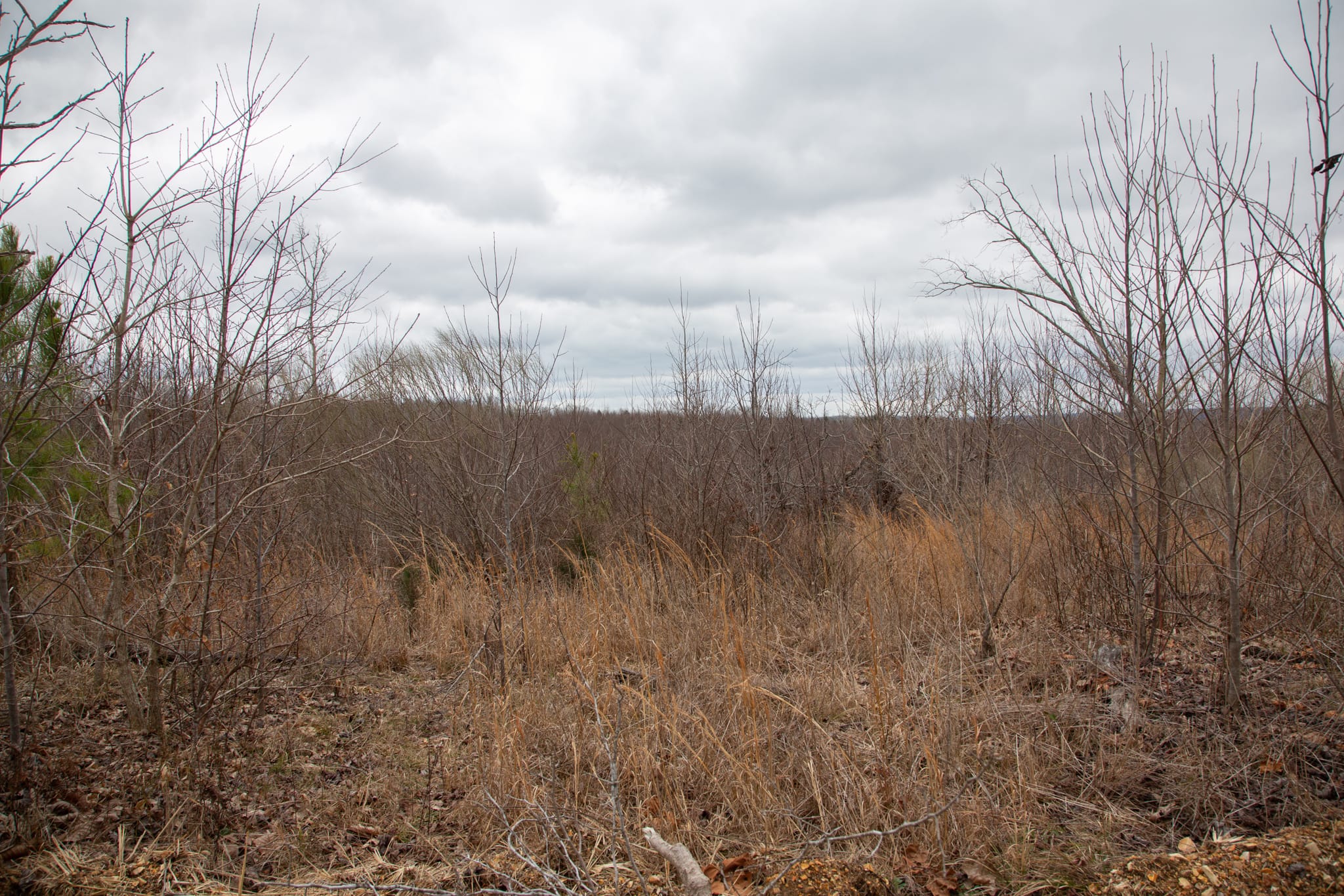 Southwind Ranch Tract 17 photo 9