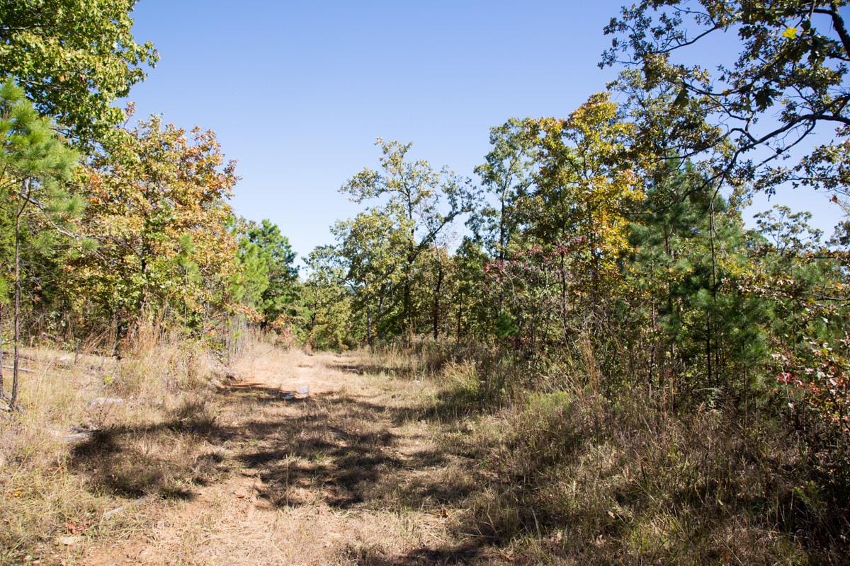 Stone Creek Phase I Tract 112 photo 1