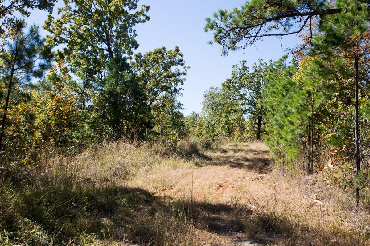 Stone Creek Phase I Tract 112 photo 4