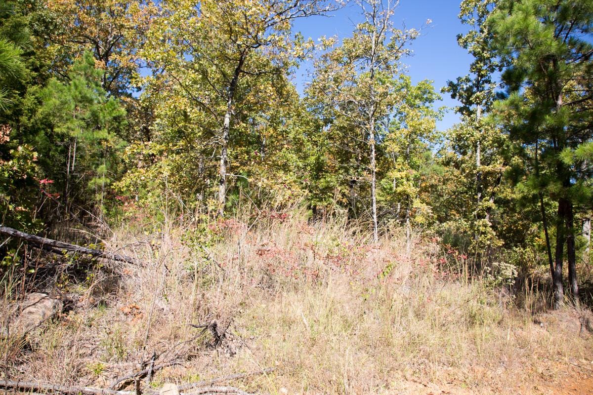Stone Creek Phase I Tract 112 photo 6