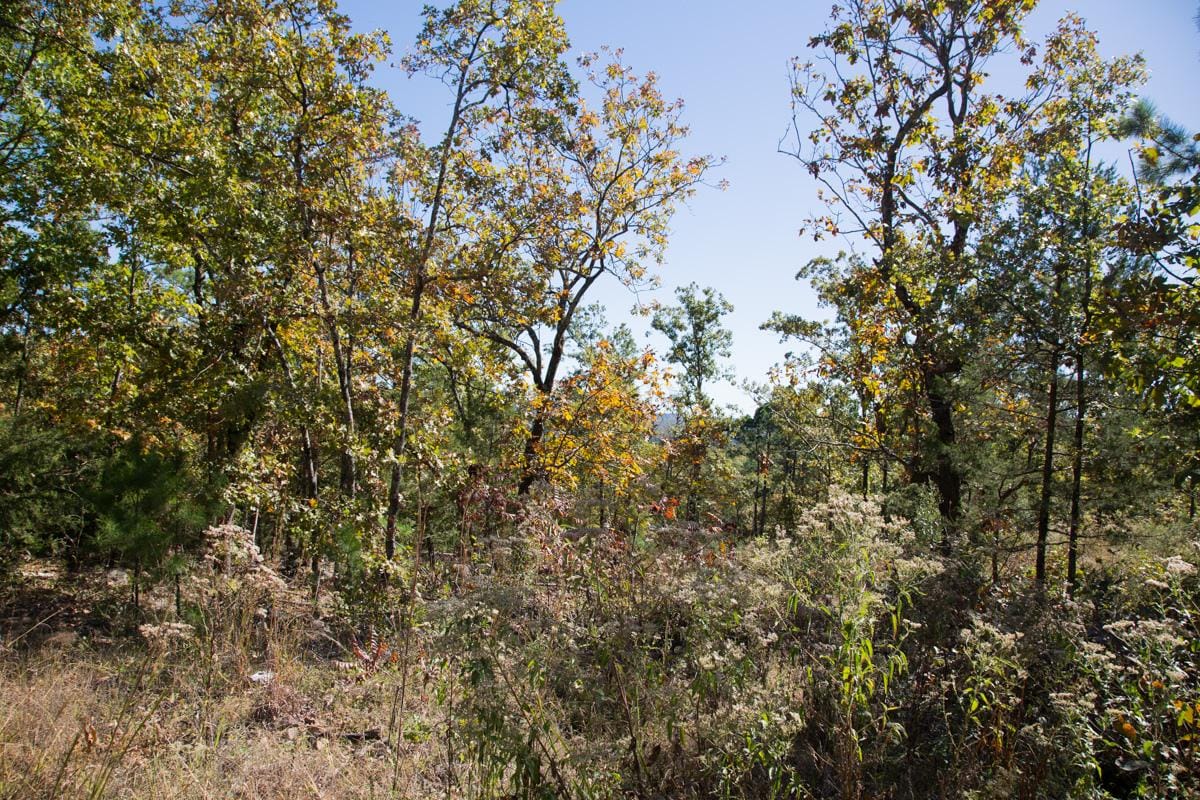 Stone Creek Phase I Tract 112 photo 8