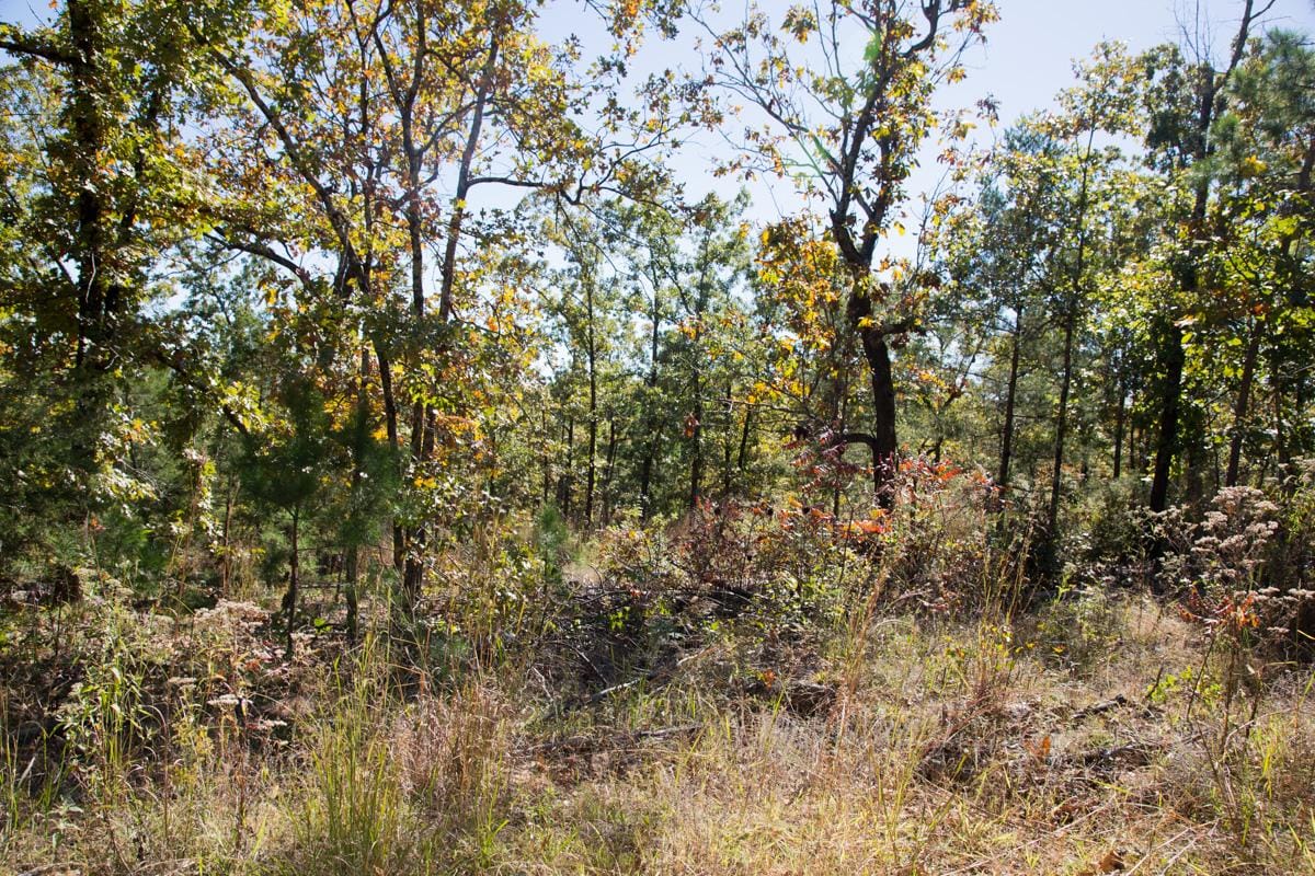 Stone Creek Phase I Tract 112 photo 10