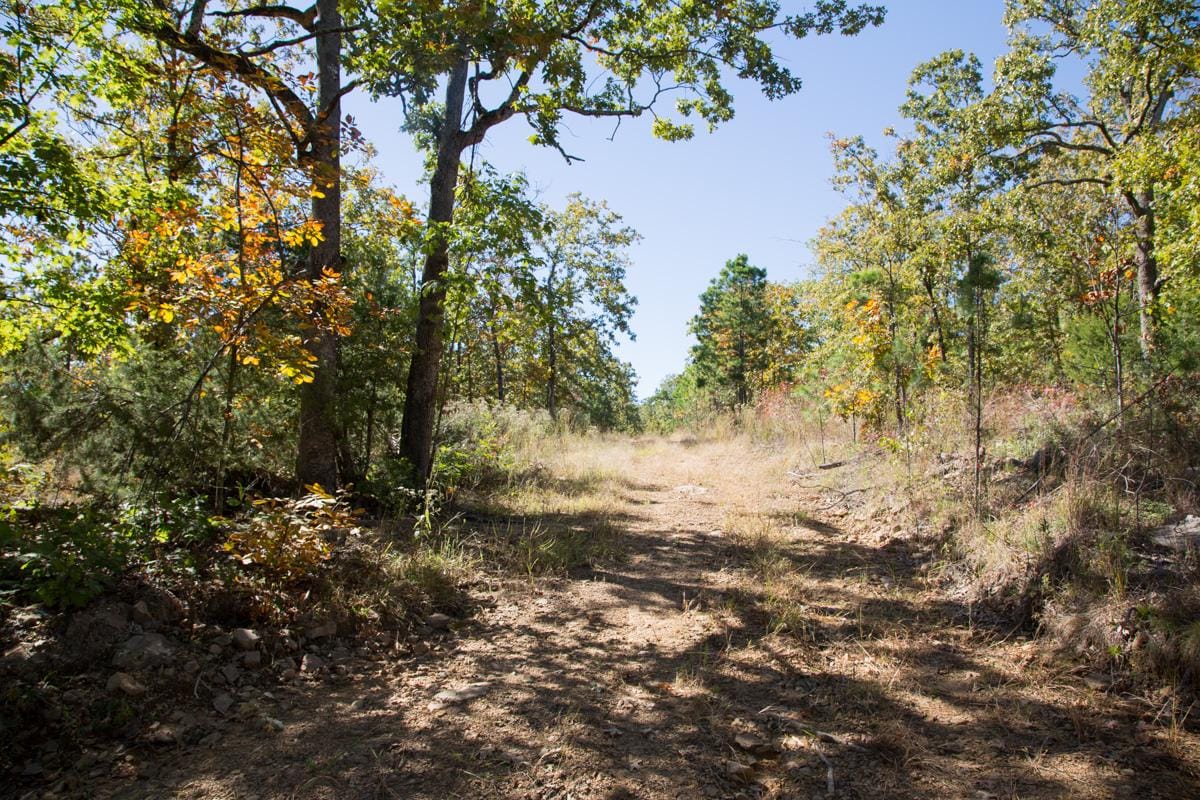 Stone Creek Phase I Tract 112 photo 11