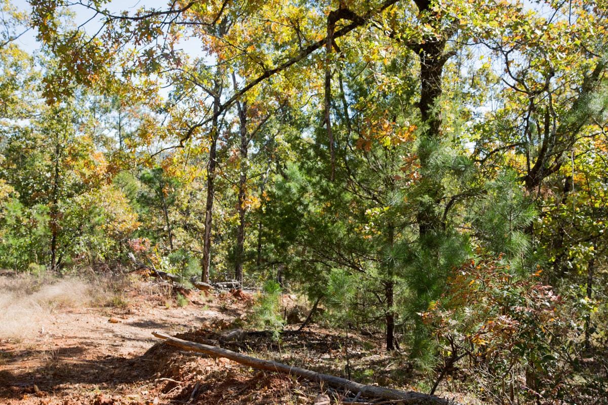 Stone Creek Phase I Tract 112 photo 13