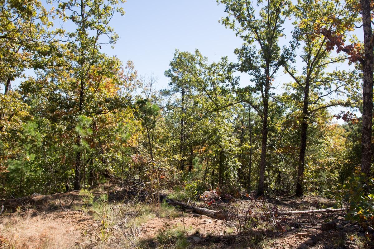 Stone Creek Phase I Tract 112 photo 14