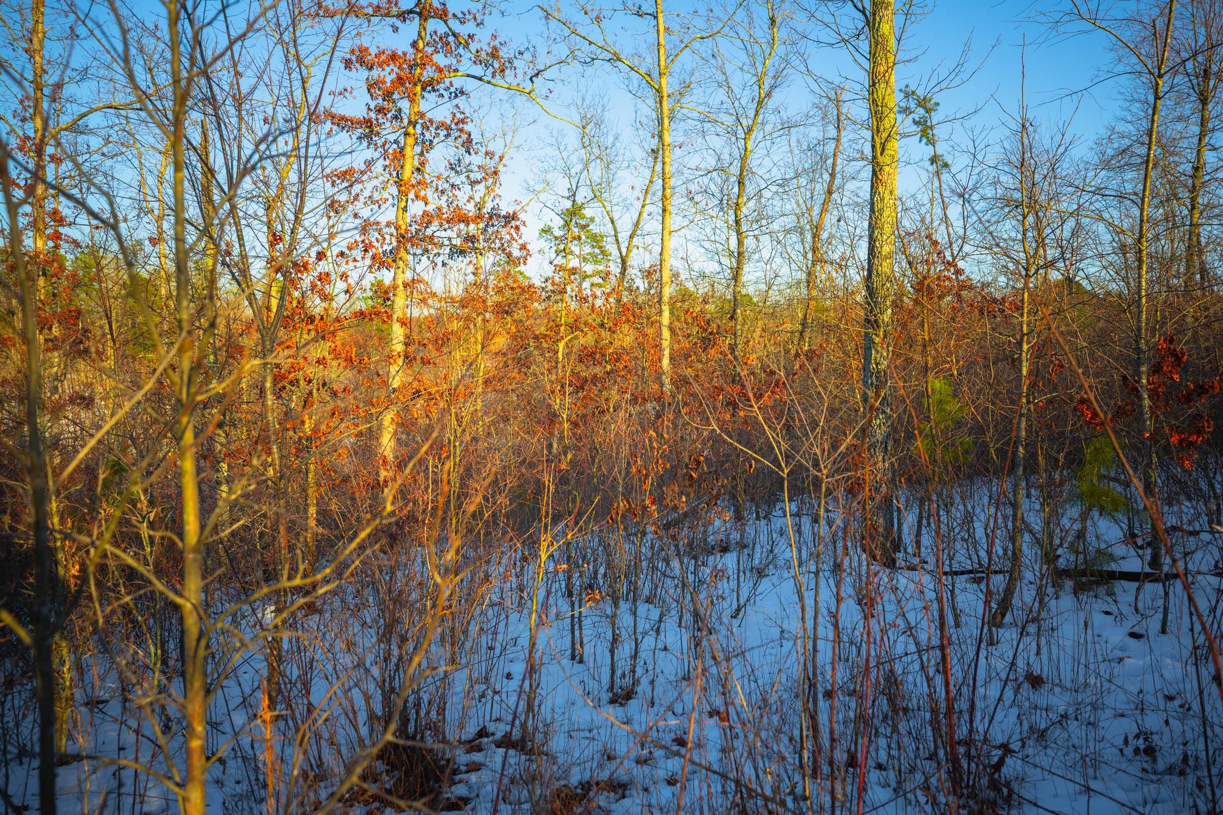 Sleepy Hollow Phase I Tract 37 photo 9