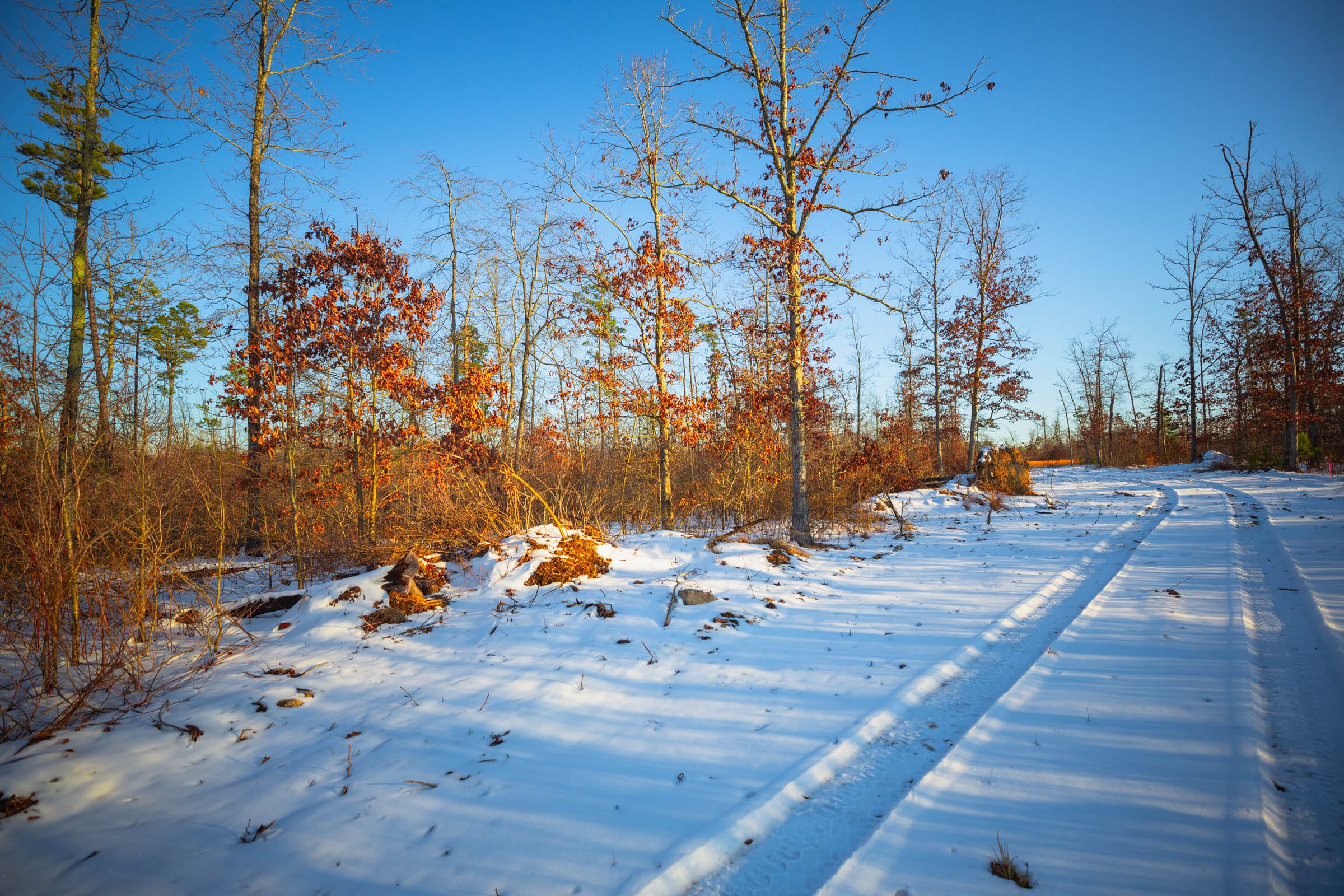 Sleepy Hollow Phase I Tract 37 photo 7