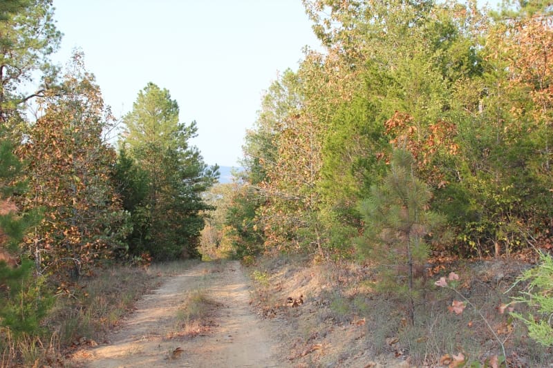 Lake View Ranch Tract 34 photo 1