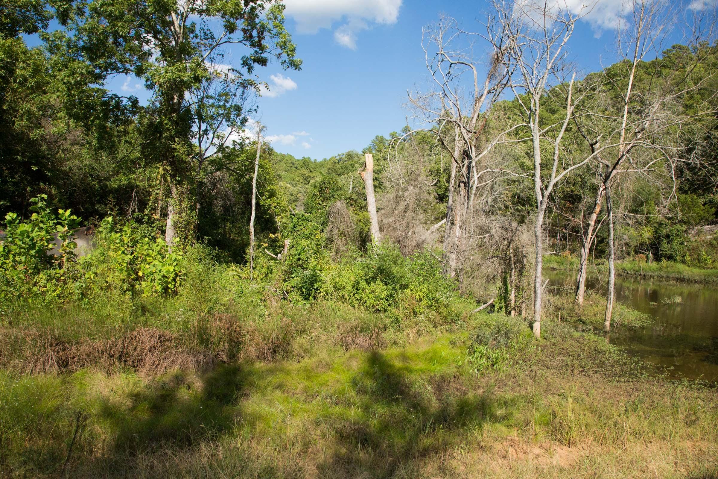 Stone Creek Phase II Tract 266 photo 4